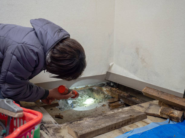 Best Forensic Mold Investigation  in Lawrenceville, NJ