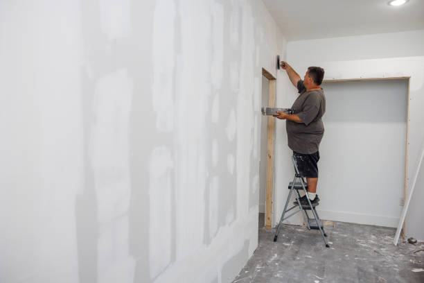 Best Emergency Mold Remediation  in Lawrenceville, NJ